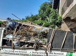 Best Residential Junk Removal  in Borden, IN